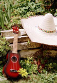 avatar uke+sombrero