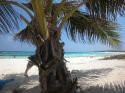 Strand auf Cozumel